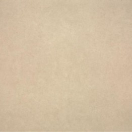 Gạch lát sàn Trường Thịnh CEMENTI BE66125